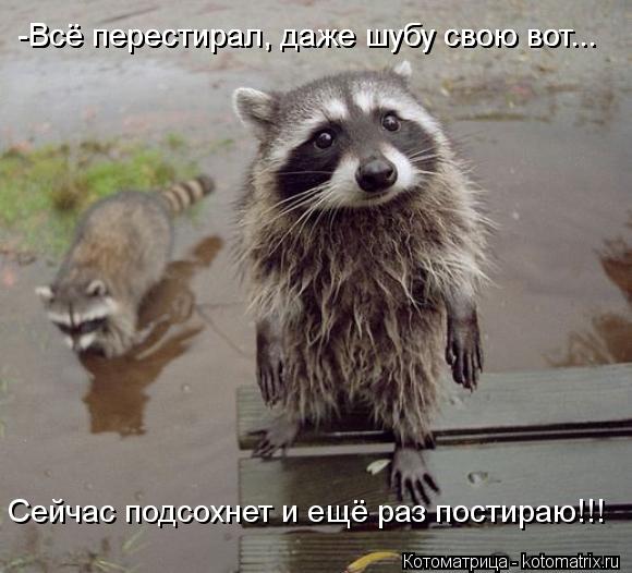 -Всё перестирал, даже шубу свою вот... -Всё перестирал, даже шубу свою вот... Сейчас подсохнет и ещё ... Котоматрица: -Всё перестирал, даже шубу свою вот... -Всё перестирал, даже шубу свою вот... Сейчас подсохнет и ещё раз постираю!!!