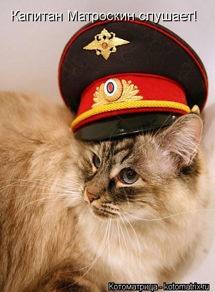 Капитан Матроскин слушает!... Котоматрица: Капитан Матроскин слушает!
