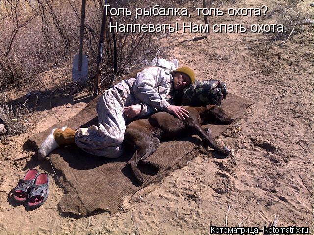 Толь рыбалка, толь охота? Наплевать! Нам спать охота.... Котоматрица: Толь рыбалка, толь охота? Наплевать! Нам спать охота.