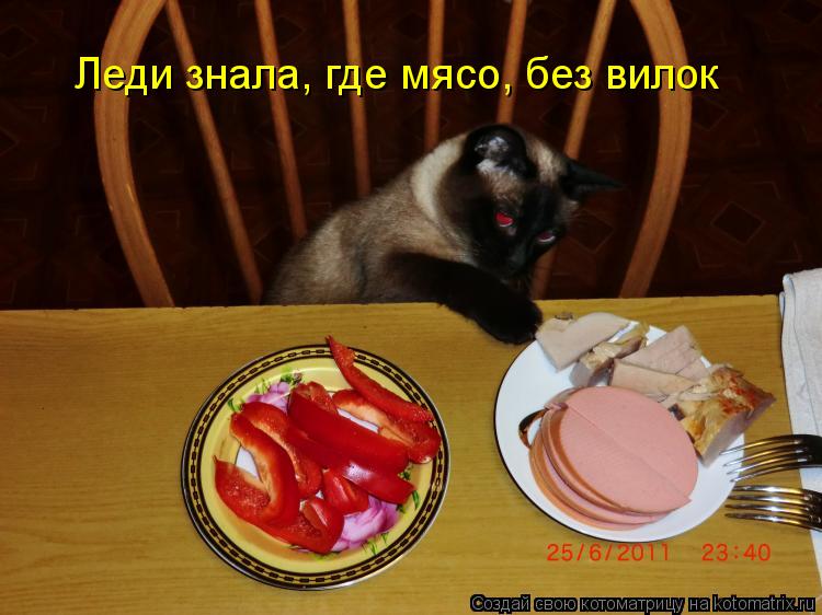 Котоматрица: Леди знала, где мясо, без вилок