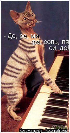 - До, ре, ми фа, соль, ля си, до!... Котоматрица: - До, ре, ми фа, соль, ля си, до!