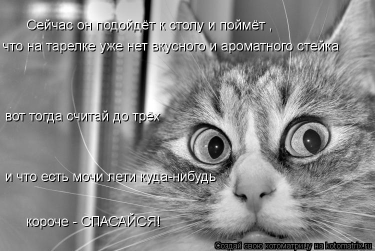 Сейчас он подойдёт к столу и поймёт , что на тарелке уже нет вкусного и ароматного стейка вот тогда ... Котоматрица: Сейчас он подойдёт к столу и поймёт , что на тарелке уже нет вкусного и ароматного стейка вот тогда считай до трёх и что есть мочи лети куда-