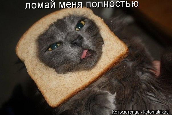ломай меня полностью... Котоматрица: ломай меня полностью