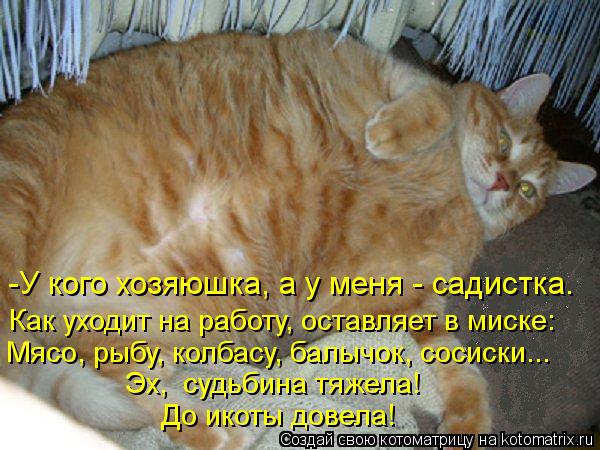 -У кого хозяюшка, а у меня - садистка. Как уходит на работу, оставляет в миске: Мясо, рыбу, колбасу, ... Котоматрица: -У кого хозяюшка, а у меня - садистка. Как уходит на работу, оставляет в миске: Мясо, рыбу, колбасу, балычок, сосиски... Эх, судьбина тяжела! До и