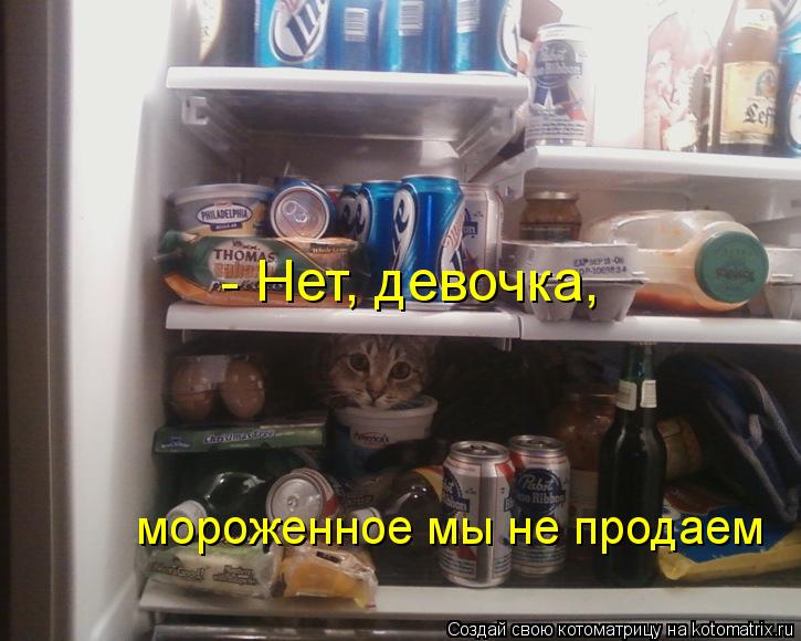 - Нет, девочка, мороженное мы не продаем... Котоматрица: - Нет, девочка, мороженное мы не продаем
