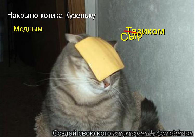 Накрыло котика Кузеньку Медным Тазиком ___ Сыр... Котоматрица: Накрыло котика Кузеньку Медным Тазиком ___ Сыр