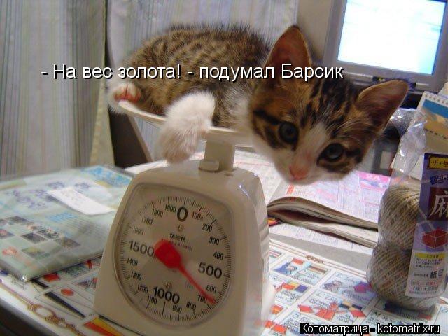 - На вес золота! - подумал Барсик... Котоматрица: - На вес золота! - подумал Барсик