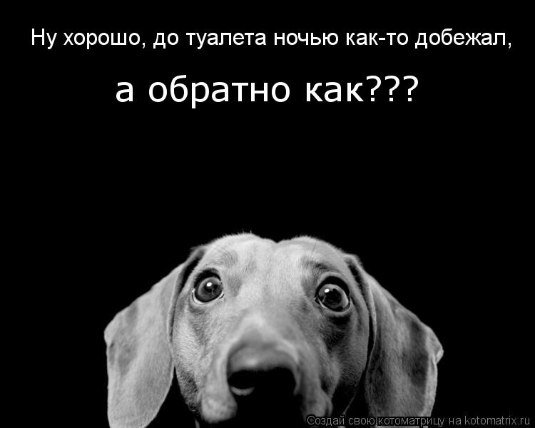 Ну хорошо, до туалета ночью как-то добежал, а обратно как???... Котоматрица: Ну хорошо, до туалета ночью как-то добежал, а обратно как???