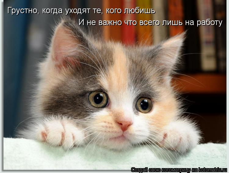 Котоматрица: Грустно, когда уходят те, кого любишь И не важно что всего лишь на работу