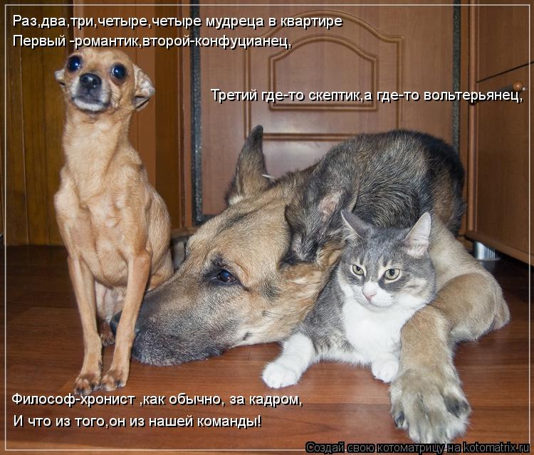 Котоматрица: Раз,два,три,четыре,четыре мудреца в квартире Первый -романтик,второй-конфуцианец, Третий где-то скептик,а где-то вольтерьянец, Философ-хрон