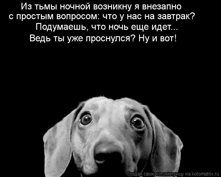 Из тьмы ночной возникну я внезапно с простым вопросом: что у нас на завтрак? Подумаешь, что ночь еще ... Котоматрица: Из тьмы ночной возникну я внезапно с простым вопросом: что у нас на завтрак? Подумаешь, что ночь еще идет... Ведь ты уже проснулся? Ну и вот!