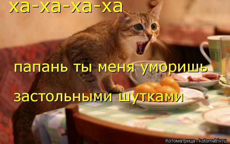 ха-ха-ха-ха папань ты меня уморишь застольными шутками... Котоматрица: ха-ха-ха-ха папань ты меня уморишь застольными шутками