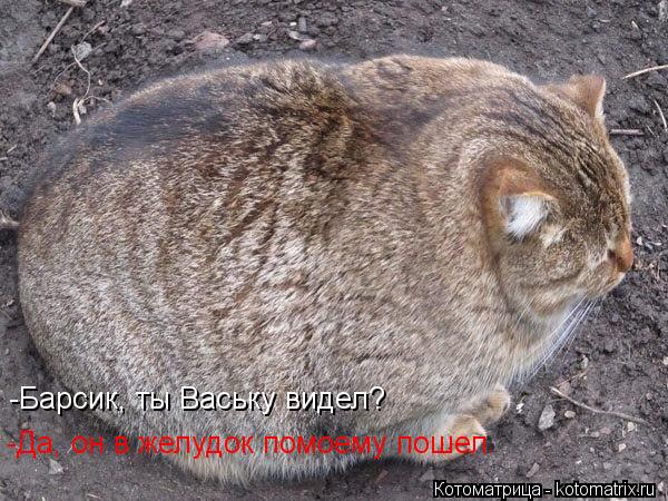 -Барсик, ты Ваську видел? -Да, он в желудок помоему пошел.... Котоматрица: -Барсик, ты Ваську видел? -Да, он в желудок помоему пошел.