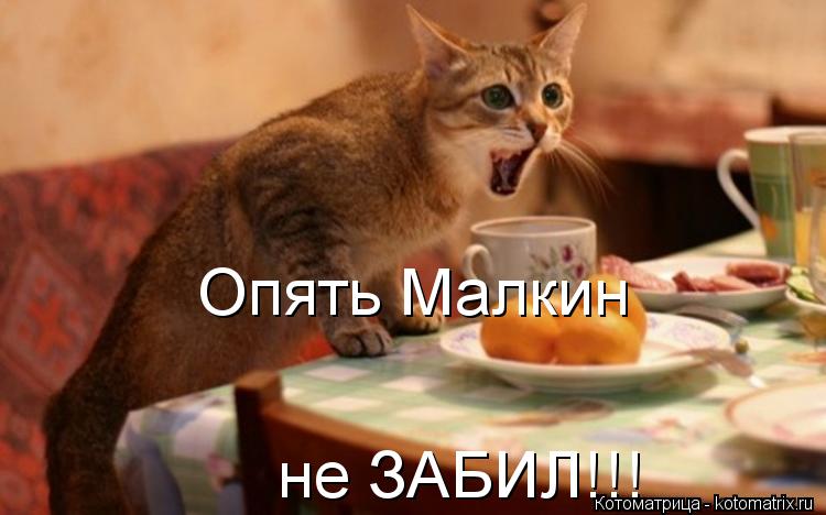 Опять Малкин не ЗАБИЛ!!!... Котоматрица: Опять Малкин не ЗАБИЛ!!!