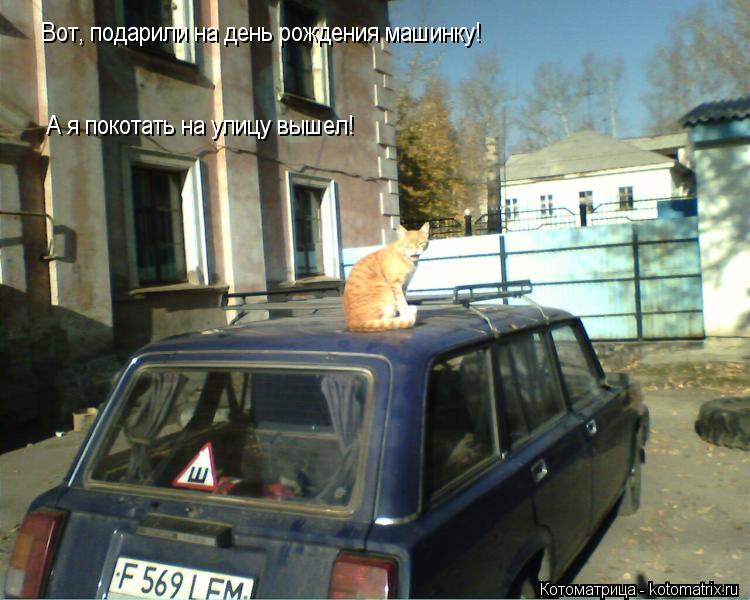 Вот, подарили на день рождения машинку! А я покотать на улицу вышел!... Котоматрица: Вот, подарили на день рождения машинку! А я покотать на улицу вышел!