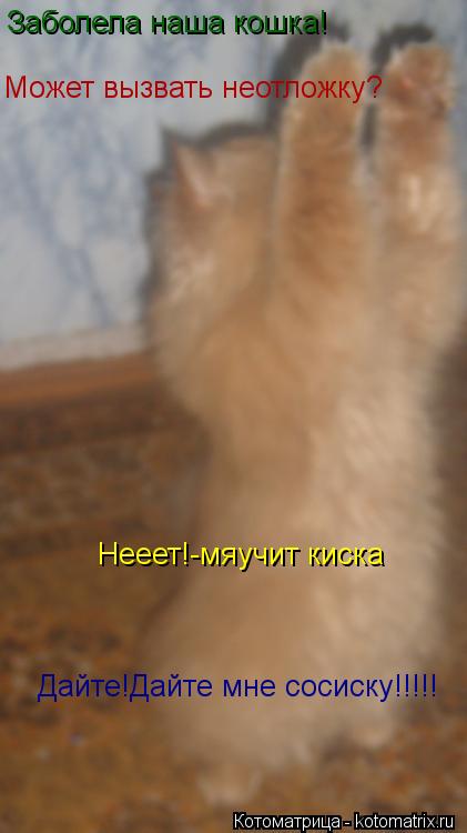 Заболела наша кошка! Может вызвать неотложку? Дайте!Дайте мне сосиску!!!!! Нееет!-мяучит киска... Котоматрица: Заболела наша кошка! Может вызвать неотложку? Дайте!Дайте мне сосиску!!!!! Нееет!-мяучит киска