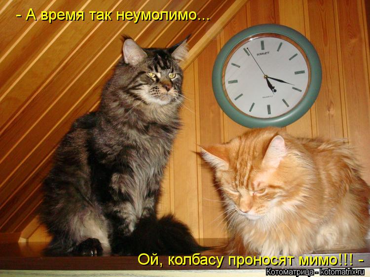 - А время так неумолимо... Ой, колбасу проносят мимо!!! -... Котоматрица: - А время так неумолимо... Ой, колбасу проносят мимо!!! -