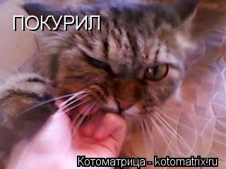 ПОКУРИЛ... Котоматрица: ПОКУРИЛ