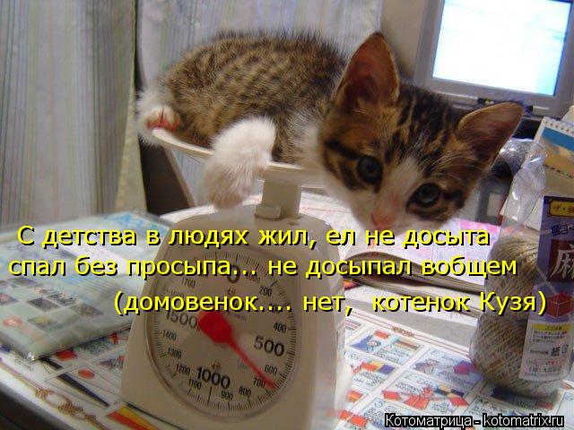 спал без просыпа... не досыпал вобщем С детства в людях жил, ел не досыта С детства в людях жил, ел н... Котоматрица: спал без просыпа... не досыпал вобщем С детства в людях жил, ел не досыта С детства в людях жил, ел не досыта (домовенок.... нет, котенок Кузя)