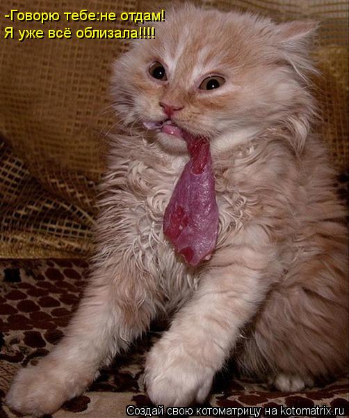 -Говорю тебе:не отдам! Я уже всё облизала!!!!... Котоматрица: -Говорю тебе:не отдам! Я уже всё облизала!!!!