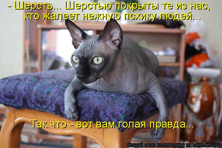 Котоматрица: - Шерсть... Шерстью покрыты те из нас, кто жалеет нежную псхику людей... Так что - вот вам голая правда...