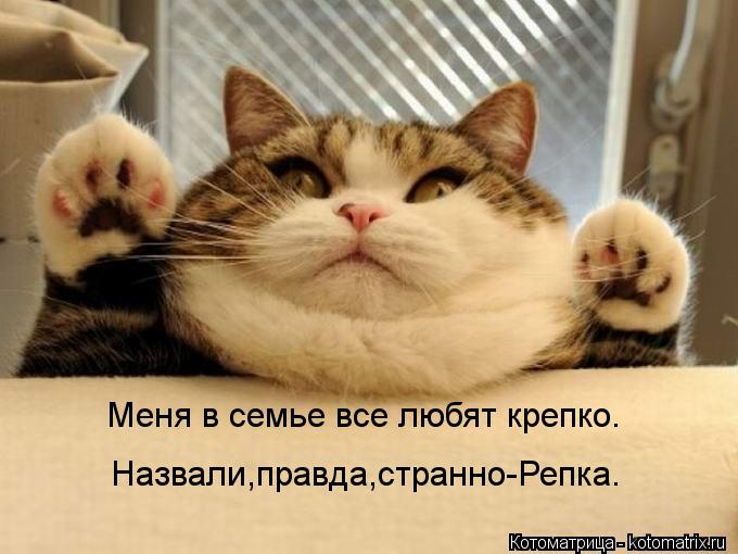 Меня в семье все любят крепко. Назвали,правда,странно-Репка.... Котоматрица: Меня в семье все любят крепко. Назвали,правда,странно-Репка.
