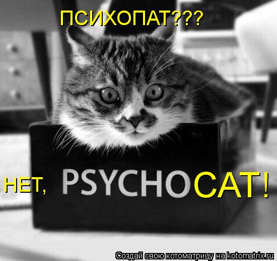 CAT! НЕТ, ПСИХОПАТ???... Котоматрица: CAT! НЕТ, ПСИХОПАТ???