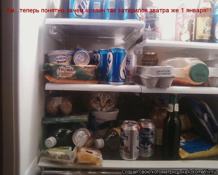 Хм...теперь понятно зачем хозяин так затарился зватра же 1 января!!!... Котоматрица: Хм...теперь понятно зачем хозяин так затарился зватра же 1 января!!!
