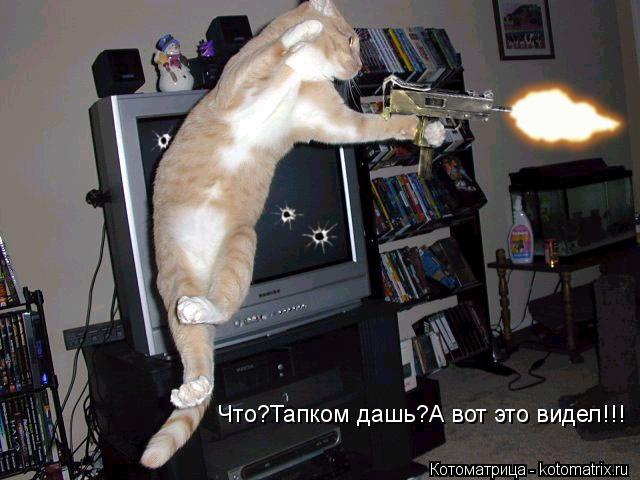 Что?Тапком дашь?А вот это видел!!!... Котоматрица: Что?Тапком дашь?А вот это видел!!!