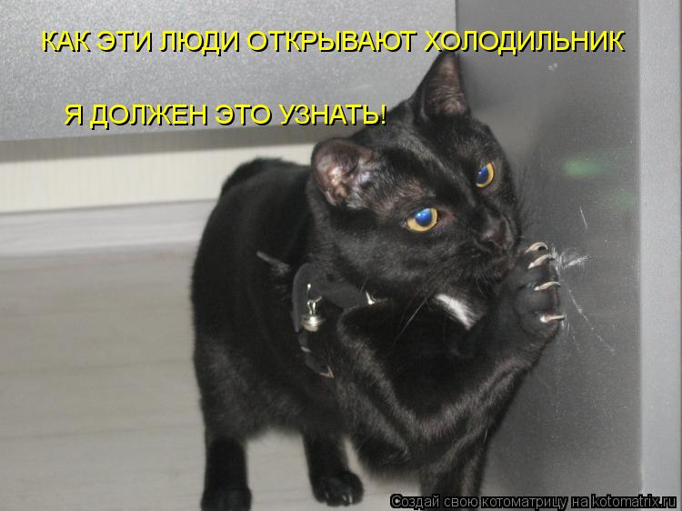 КАК ЭТИ ЛЮДИ ОТКРЫВАЮТ ХОЛОДИЛЬНИК !!!??? Я ДОЛЖЕН ЭТО УЗНАТЬ!... Котоматрица: КАК ЭТИ ЛЮДИ ОТКРЫВАЮТ ХОЛОДИЛЬНИК !!!??? Я ДОЛЖЕН ЭТО УЗНАТЬ!
