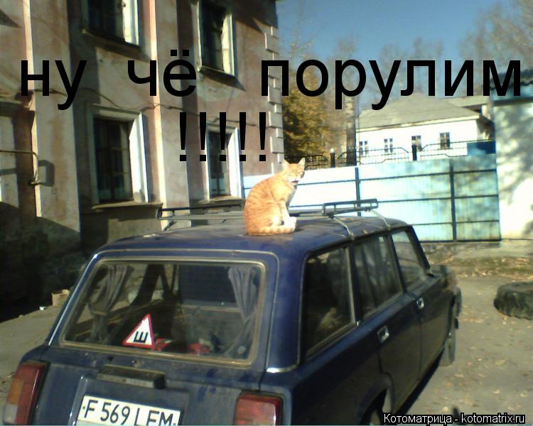 ну чё порулим!!!!! !!!!!... Котоматрица: ну чё порулим!!!!! !!!!!