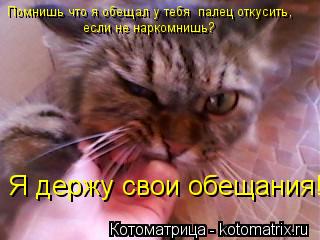 Помнишь что я обещал у тебя палец откусить, если не наркомнишь? Я держу свои обещания!... Котоматрица: Помнишь что я обещал у тебя палец откусить, если не наркомнишь? Я держу свои обещания!