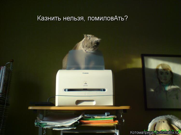 Казнить нельзя, помиловАть?... Котоматрица: Казнить нельзя, помиловАть?