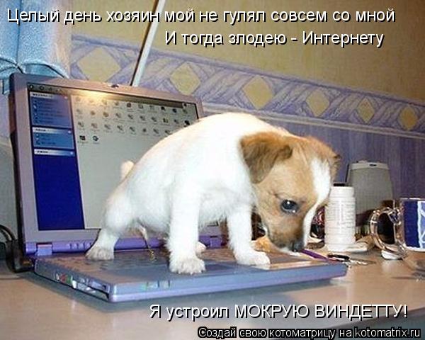 Целый день хозяин мой не гулял совсем со мной И тогда злодею - Интернету Я устроил МОКРУЮ ВИНДЕТТУ!... Котоматрица: Целый день хозяин мой не гулял совсем со мной И тогда злодею - Интернету Я устроил МОКРУЮ ВИНДЕТТУ!