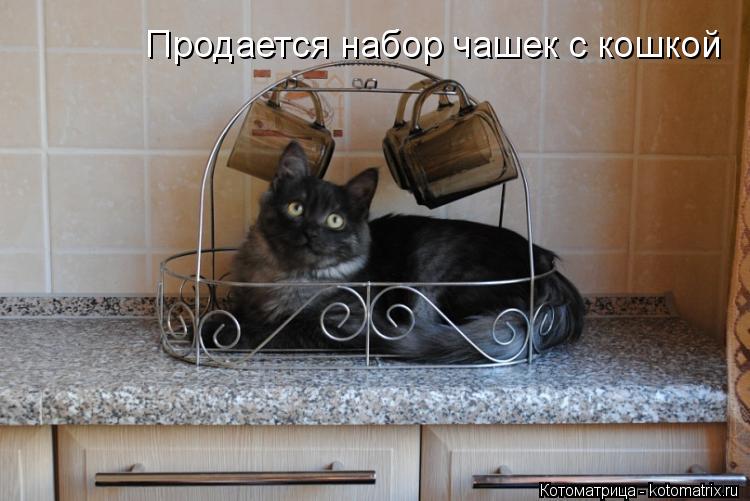 Продается набор чашек с кошкой... Котоматрица: Продается набор чашек с кошкой