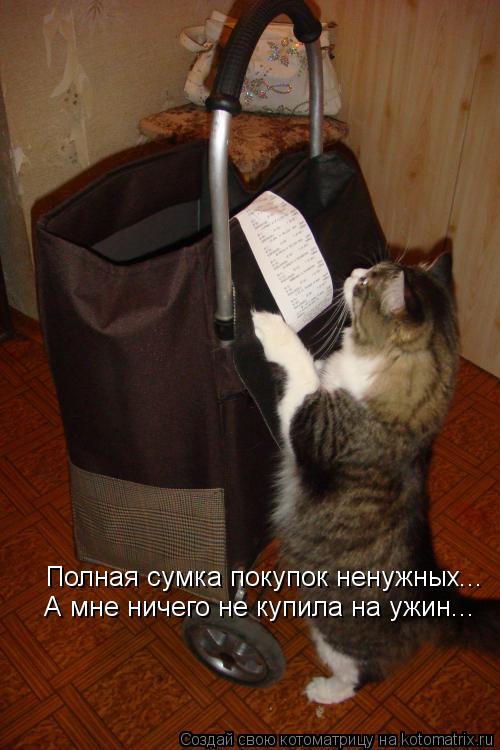 Котоматрица: Полная сумка покупок ненужных... А мне ничего не купила на ужин...