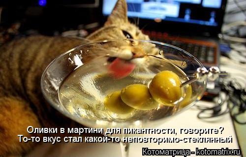 Оливки в мартини для пикантности, говорите? То-то вкус стал какой-то неповторимо-стеклянный... Котоматрица: Оливки в мартини для пикантности, говорите? То-то вкус стал какой-то неповторимо-стеклянный