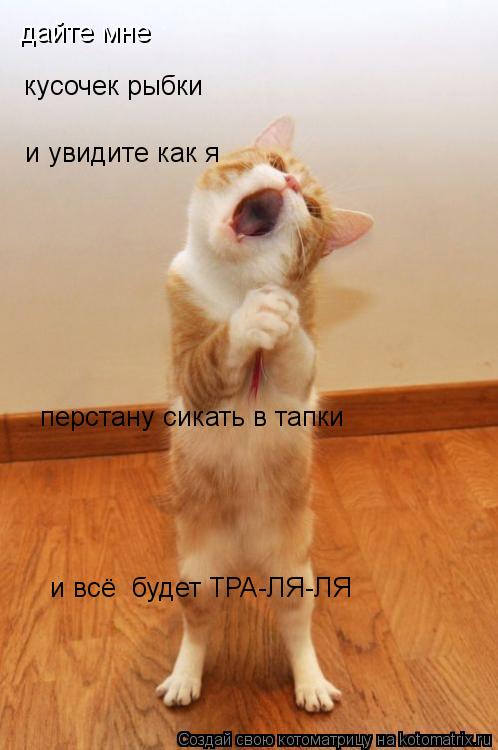 дайте мне кусочек рыбки и увидите как я перстану сикать в тапки и всё будет ТРА-ЛЯ-ЛЯ... Котоматрица: дайте мне кусочек рыбки и увидите как я перстану сикать в тапки и всё будет ТРА-ЛЯ-ЛЯ