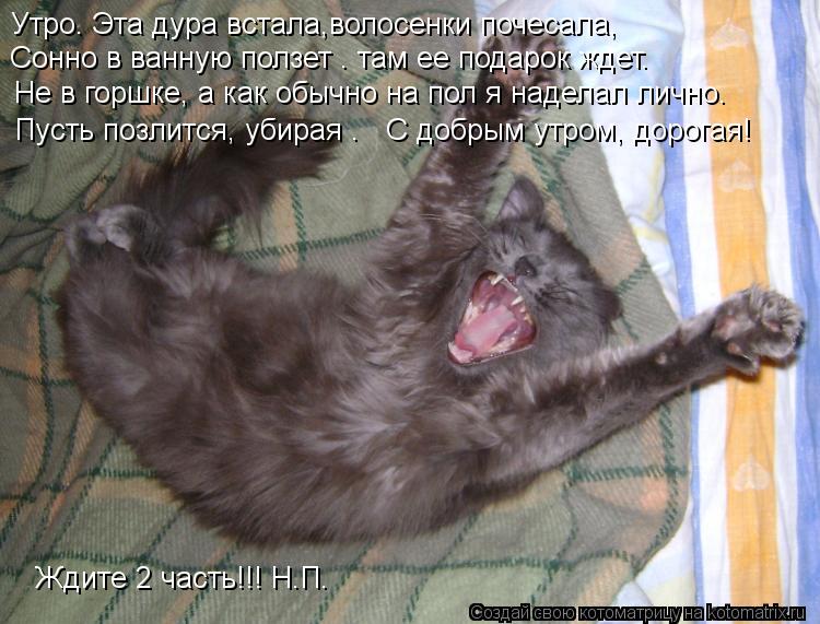 Утро. Эта дура встала,волосенки почесала, Сонно в ванную ползет – там ее подарок ждет. Не в горшке, а... Котоматрица: Утро. Эта дура встала,волосенки почесала, Сонно в ванную ползет – там ее подарок ждет. Не в горшке, а как обычно на пол я наделал лично. Пусть