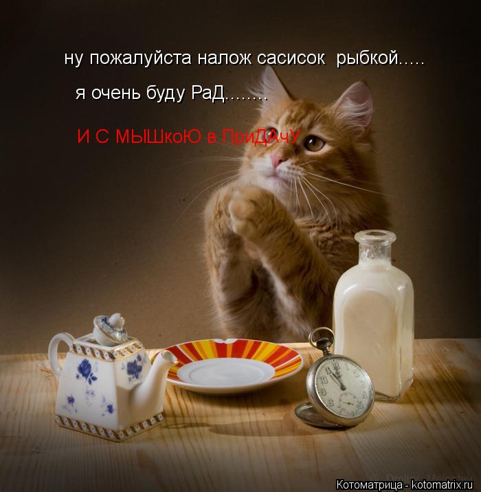 ну пожалуйста налож сасисок рыбкой..... я очень буду РаД........ И С МЫШкоЮ в ПриДАчУ... Котоматрица: ну пожалуйста налож сасисок рыбкой..... я очень буду РаД........ И С МЫШкоЮ в ПриДАчУ