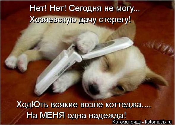 Нет! Нет! Сегодня не могу... Хозяевскую дачу стерегу! На МЕНЯ одна надежда! ХодЮть всякие возле котте... Котоматрица: Нет! Нет! Сегодня не могу... Хозяевскую дачу стерегу! На МЕНЯ одна надежда! ХодЮть всякие возле коттеджа....