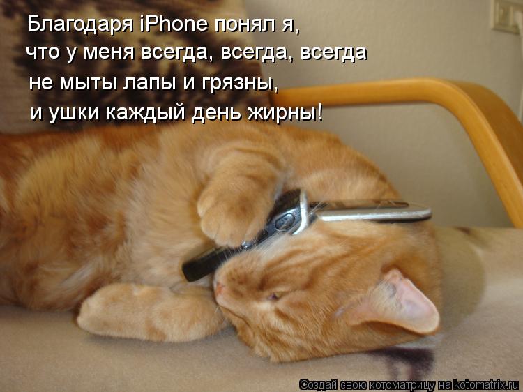 Благодаря iPhone понял я, что у меня всегда, всегда, всегда не мыты лапы и грязны, и ушки каждый день... Котоматрица: Благодаря iPhone понял я, что у меня всегда, всегда, всегда не мыты лапы и грязны, и ушки каждый день жирны!
