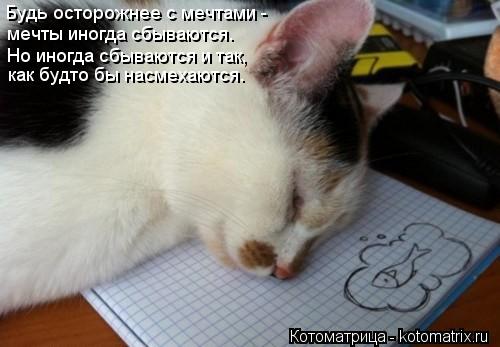 Будь осторожнее с мечтами - мечты иногда сбываются. Но иногда сбываются и так, как будто бы насмехают... Котоматрица: Будь осторожнее с мечтами - мечты иногда сбываются. Но иногда сбываются и так, как будто бы насмехаются.