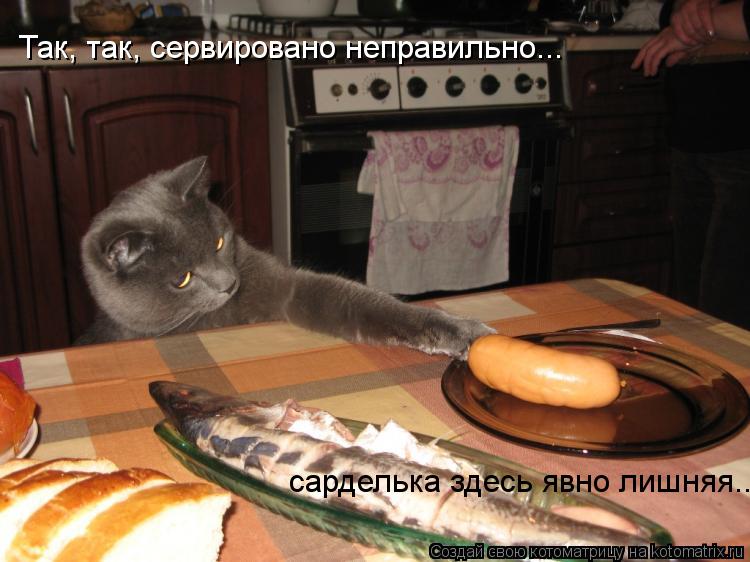 Котоматрица: Так, так, сервировано неправильно... сарделька здесь явно лишняя...