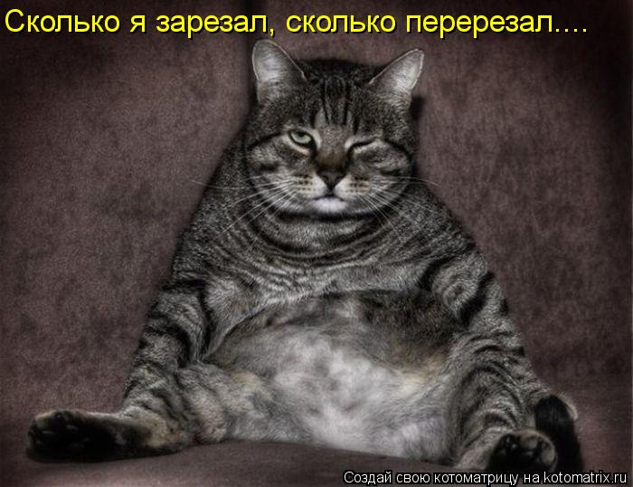 Котоматрица: Сколько я зарезал, сколько перерезал....