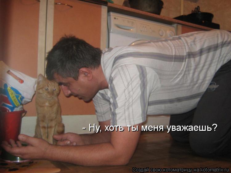 Котоматрица: - Ну, хоть ты меня уважаешь?