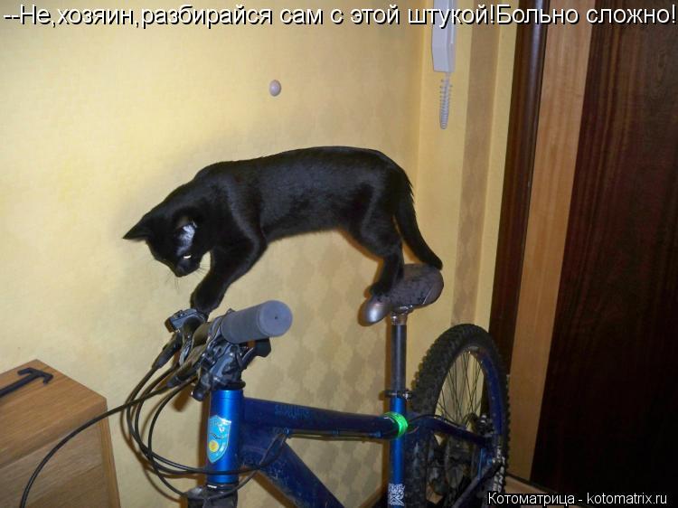 Котоматрица: --Не,хозяин,разбирайся сам с этой штукой!Больно сложно!