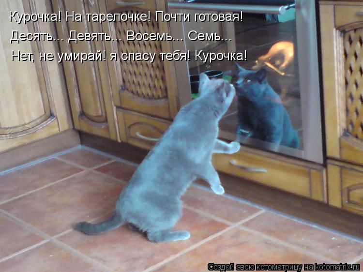 Котоматрица: Курочка! На тарелочке! Почти готовая! Десять... Девять... Восемь... Семь... Нет, не умирай! я спасу тебя! Курочка!