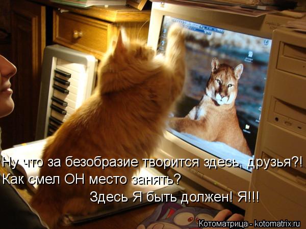Котоматрица: Ну что за безобразие творится здесь, друзья?! Как смел ОН место занять? Здесь Я быть должен! Я!!!