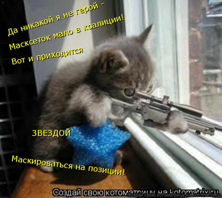 Котоматрица: Масксеток мало в коалиции! Вот и приходится Да никакой я не герой - Маскироваться на позиции! ЗВЕЗДОЙ